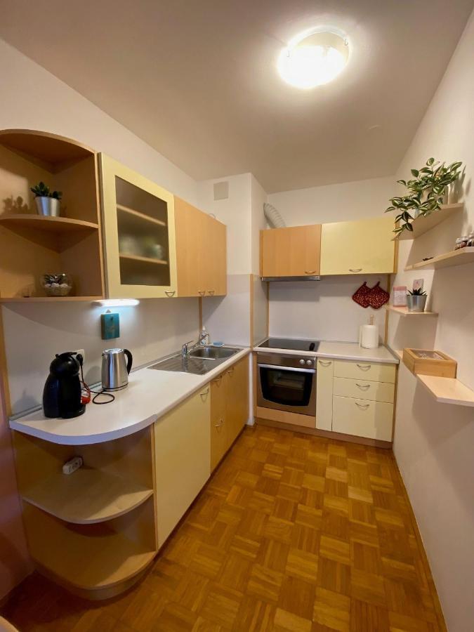 Apartma Felicija Ljubljana Extérieur photo